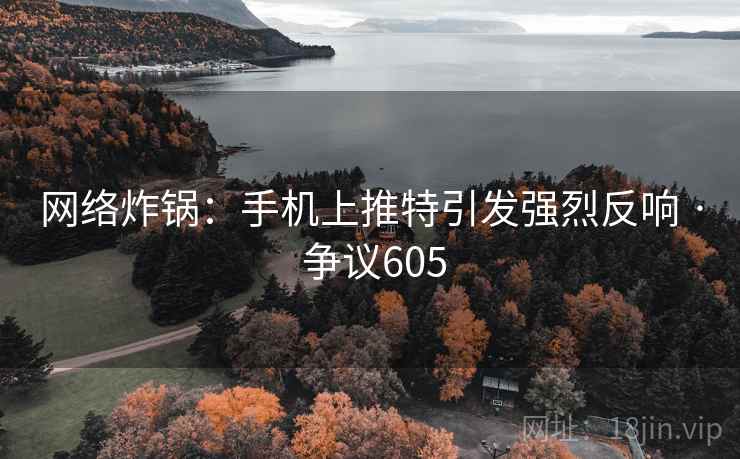 网络炸锅：手机上推特引发强烈反响 · 争议605