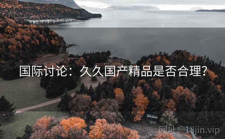 国际讨论：久久国产精品是否合理？